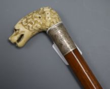 A carved ivory dog's head handled cane
