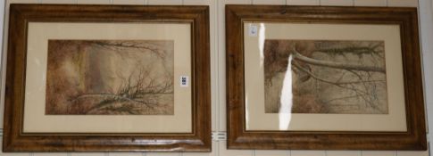 Stephen J. Bowers, pair of watercolours, Wooded landscapes, signed and dated 1884, 35 x 21cm