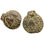 Judaea, Herodian Kingdom. Herod II Archelaus. Æ Prutah (1.58 g), 4 BCE-6 CE. Jerusalem. Grape