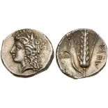 Lucania, Metapontion. Silver Nomos (7.81 g), ca. 330-290 BC Superb EF