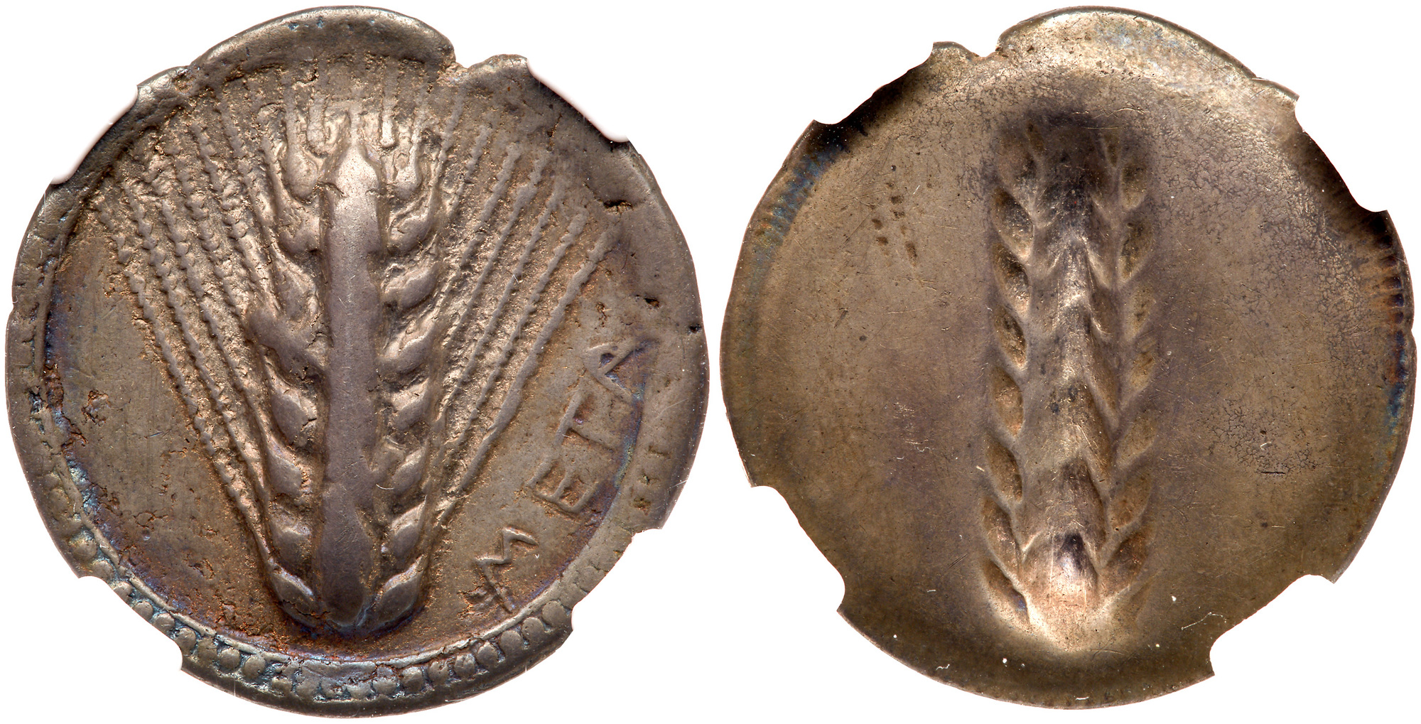 Lucania, Metapontion. Silver Nomos (7.58 g), ca. 540-510 BC. META, barley ear. Reverse: Incuse