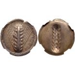 Lucania, Metapontion. Silver Nomos (7.58 g), ca. 540-510 BC. META, barley ear. Reverse: Incuse
