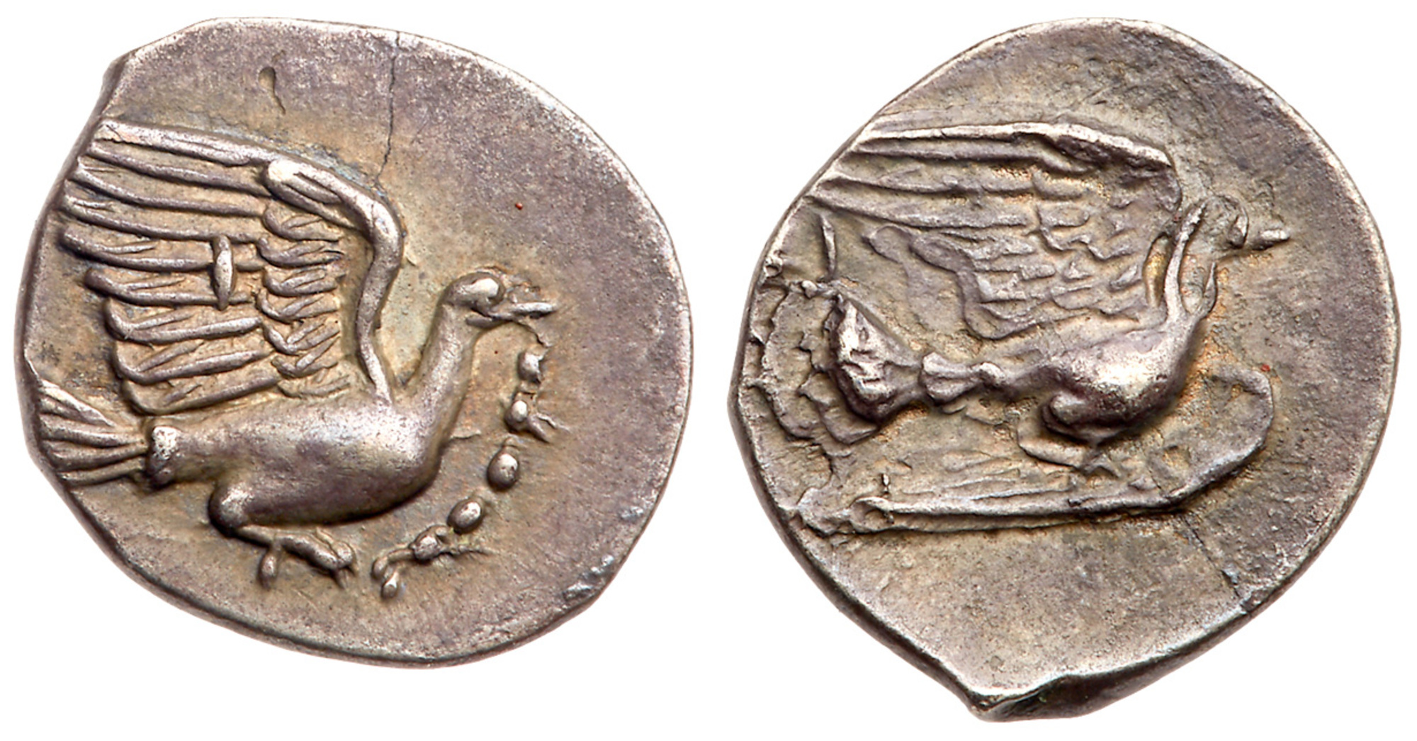 Sikyonia, Sikyon. Silver Obol (0.84 g), ca. 370-340/30 BC. Dove flying right, with fillet in beak