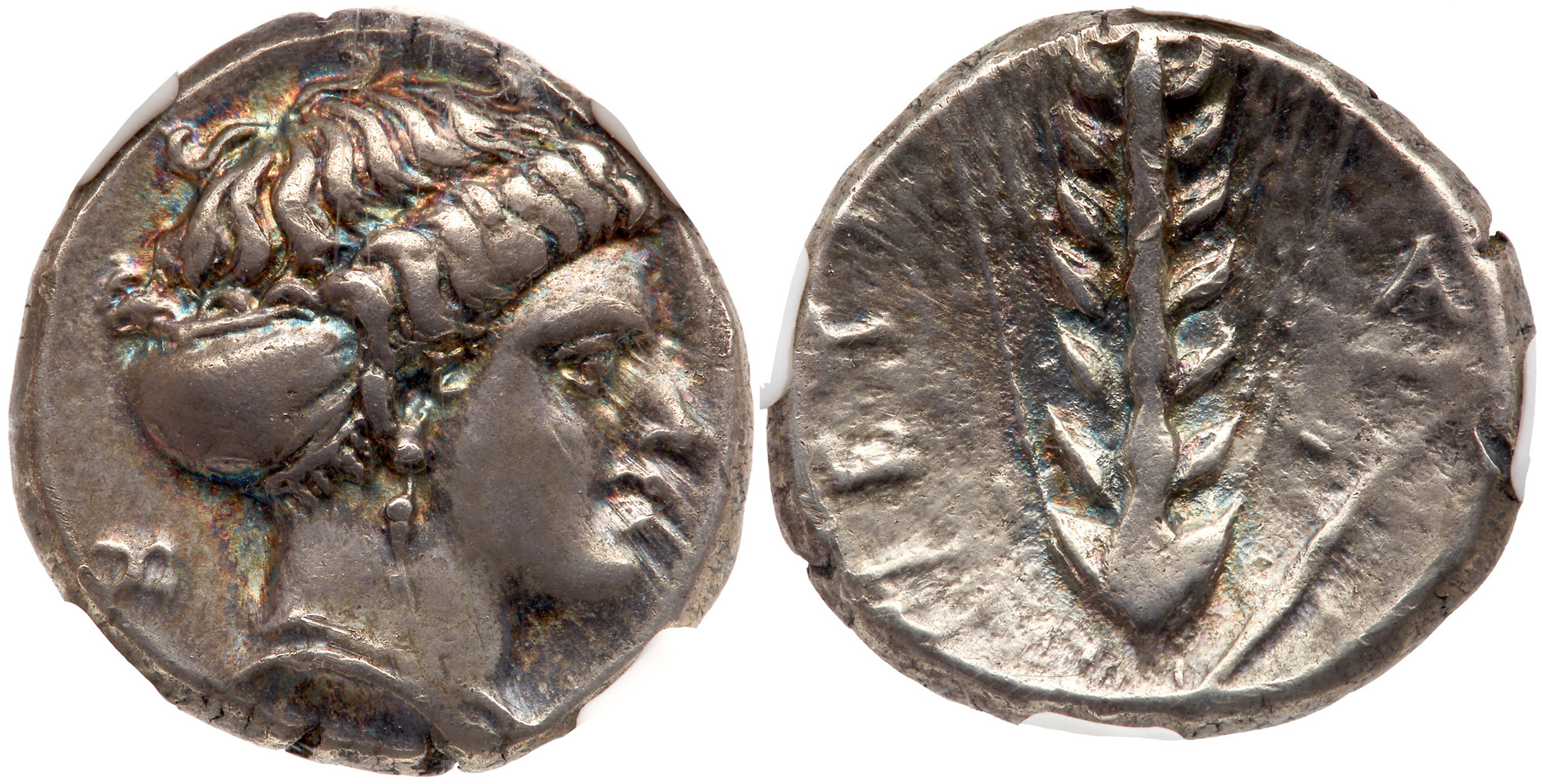 Lucania, Metapontion. Silver Nomos (7.78 g), ca. 400-340 BC. Head of Demeter right, hair bound in