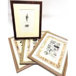 TEN ASSORTED PRINTS OF SEA SHELLS framed as groups of three and seven, each approximately 19.5cm x