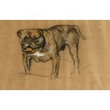 ARTHUR WARDLE (BRITISH, 1860-1949) Bullmastiff, charcoal and coloured chalks on buff paper, signed