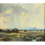 * VAN WYK (SOUTH AFRICAN SCHOOL, 20TH CENTURY) The Veld in Leaf, oil on board, signed lower right,