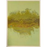 BRIAN WATERS (BRITISH, 20TH CENTURY) 'Sea Edge Grass', colour print, limited edition 9/15, titled