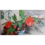 PERCY DRAKE BROOKSHAW (1907 - 1993) 'Flowery Cactus in the Porch at Valencia House - Port Isaac -