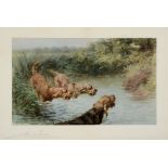 AFTER MAUD EARL Three Otterhounds in a river Colour print Published by the Berlin Photographic