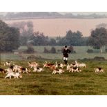 ILMINSTER BEAGLES a large colour photograph, 26 x 34cm, together with After George Stubbs, 'Brood