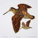 AFTER RICHARD BRAMBLE 'Woodcock', colour print -artists proof, 34 x 33.5cm