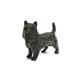 AN AUSTRIAN COLD PAINTED BRONZE FIGURE modelled as a terrier, approx 6.5cm long