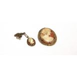 A 9 CARAT GOLD SHELL CAMEO BROOCH with a shell cameo pendant on chain, 9.9g gross