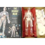 TWO RENWALL ASSEMBLY KITS comprising The Visible Man and The Visible Head, each boxed.