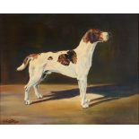 P.J. HERRING a champion hound, oil on canvas, signed an dated 1968, 40 x 50cm