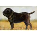 ATTRIBUTED TO ANN GRAY (BRITISH, 20TH CENTURY) Portrait of a Black Mastiff, oil on board,