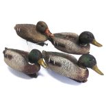 FOUR ITALIAN PLASTIC DECOY DUCKS comprising three Mallard drakes and a Mallard hen, 39cm long