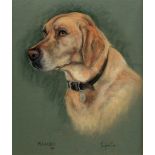 MARJORIE COX 'Rambo 1991', head study of a yellow Labrador, pastel, signed, 50 x 41cm