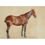 M. DOROTHY WOOD 'Cracker', study of a chestnut hunter, watercolour, signed and dated 1926, 24 x