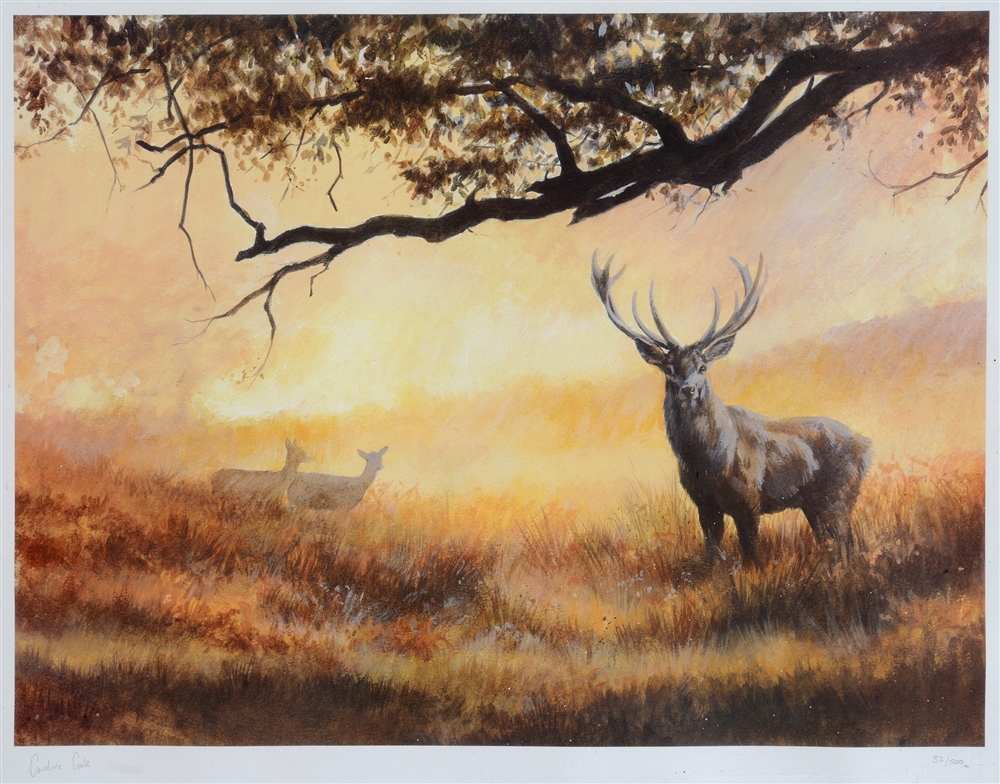 AFTER CAROLINE COOK 'Study of a stag with a pair of hind', limited edition colour print, no. 32/500,