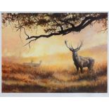 AFTER CAROLINE COOK 'Study of a stag with a pair of hind', limited edition colour print, no. 32/500,
