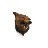 A FOX MASK on a shaped shield for wall mounting, by 'Spicer & Sons, Taxidermists, Leamington'