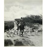 DEVON AND SOMERSET STAGHOUNDS Hounds at a meet and on a woodland track, two black and white