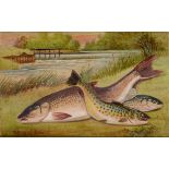 A. KNIGHT study of a landed Salmon and Trout on a river bank, watercolour, signed lower left, 8 x