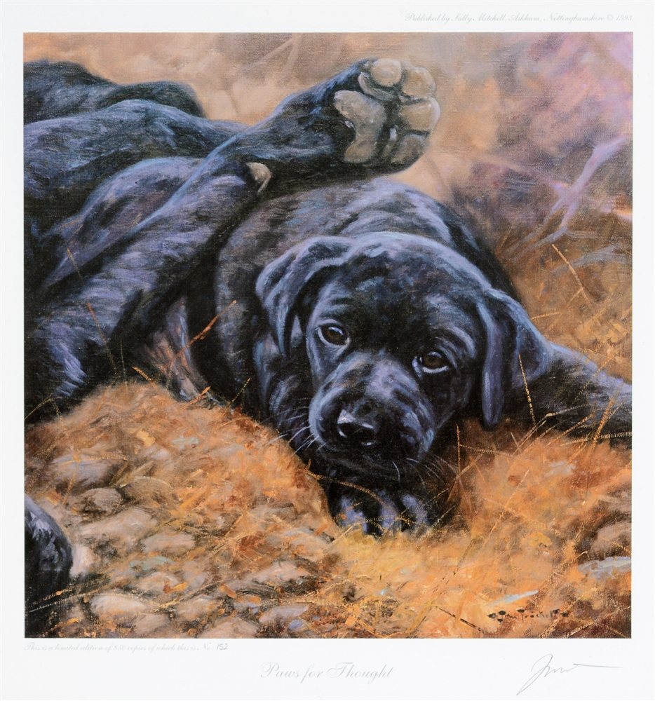 AFTER JOHN TRICKETT 'Paws for thought', limited edition colour print, No. 152/850, signed in