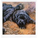 AFTER JOHN TRICKETT 'Paws for thought', limited edition colour print, No. 152/850, signed in