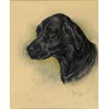 MARJORIE COX head study of a black Labrador, pastel, signed and dated, 54 x 44cm