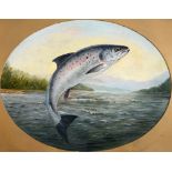 ENGLISH SCHOOL a leaping Salmon, oil on canvas, oval, 33 x 42.5cm