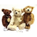 THREE STEIFF COLLECTOR'S TEDDY BEARS the largest 42cm high, all unboxed.