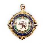 Celtic FC 'Nine-In-A-Row' Scottish Football League Division One Championship winner's medal 1973-74,