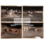 15 photographic negative glass plates featuring the Australia v British Lions Rugby Union Test