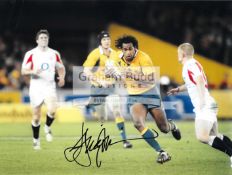 A group of four photographs signed by international rugby union players,