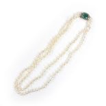 Two strand pearl necklace.