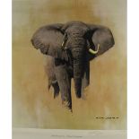 Shepherd, David 1931-2013 British AR, African Bull Elephant. 22 x 20 ins., (56 x 51 cms.