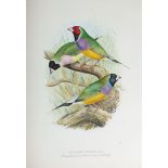 BUTLER, A G, Foreign Finches in Captivity, large 4to, 1st edition, 1894 - 96,