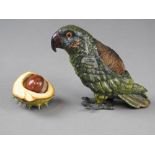 A cold painted metal hollow cast pen wipe,early 20th century, in the form of a parrot,