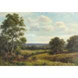 Thomas Spinks woodland landscape