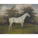 William Albert Clark, (1899-1936), Blodwen I, grey horse, oil on canvas