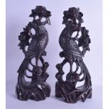 A PAIR OF 19TH CENTURY CHINESE CARVED HARDWOOD HOHO BIRDS of naturalistic form. 31 cm high.