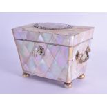 A GOOD REGENCY MOTHER OF PEARL AND SILVER TEA CADDY AND COVER with elaborate ring handles. 12 cm x
