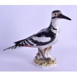 A 19TH CENTURY MEISSEN PORCELAIN FIGURE OF A BIRD painted in black enamels upon a naturalistic base.