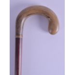A 19TH CENTURY EUROPEAN CARVED RHINOCEROS HORN HANDLED WALKING CANE with scrolling terminal. 86 cm