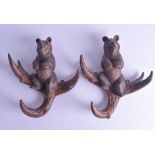 A PAIR OF LATE 19TH CENTURY BAVARIAN BLACK FOREST WALL BRACKETS formed as seated bears upon