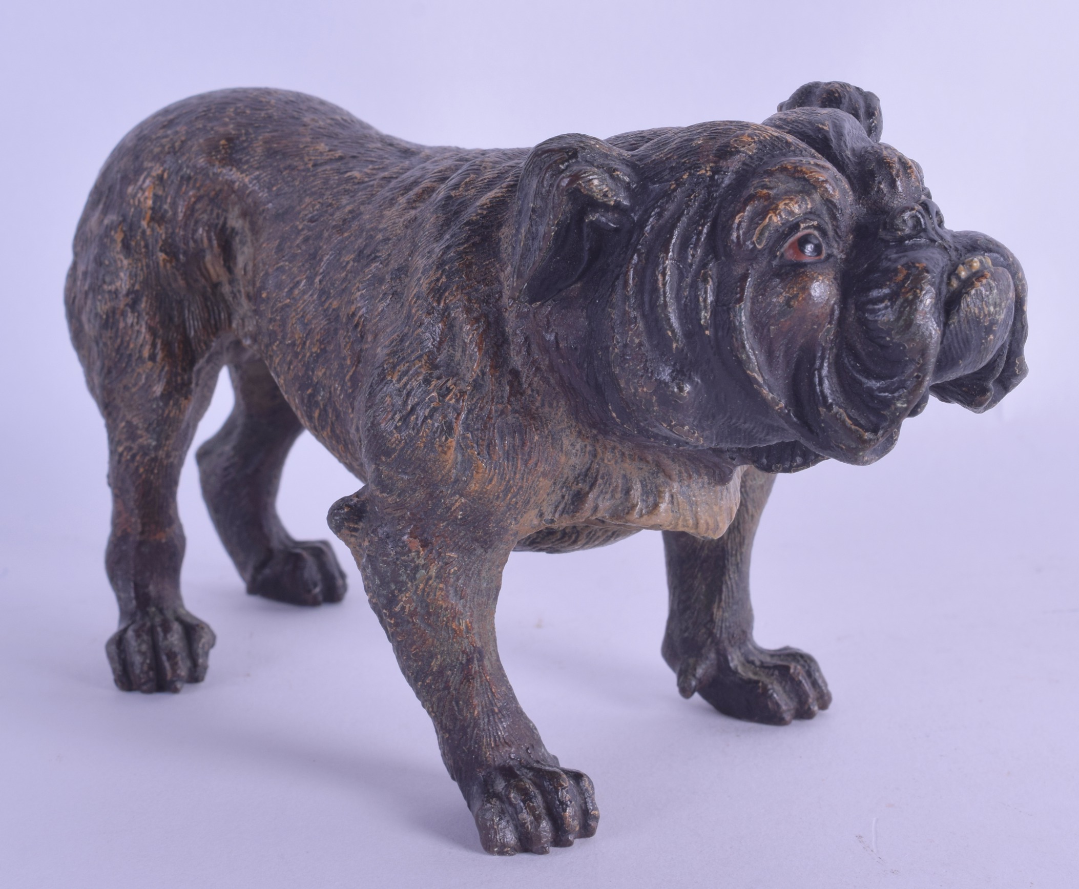 A LATE 19TH CENTURY AUSTRIAN COLD PAINTED BRONZE FIGURE OF A BULLDOG by Franz Xavier Bergmann,