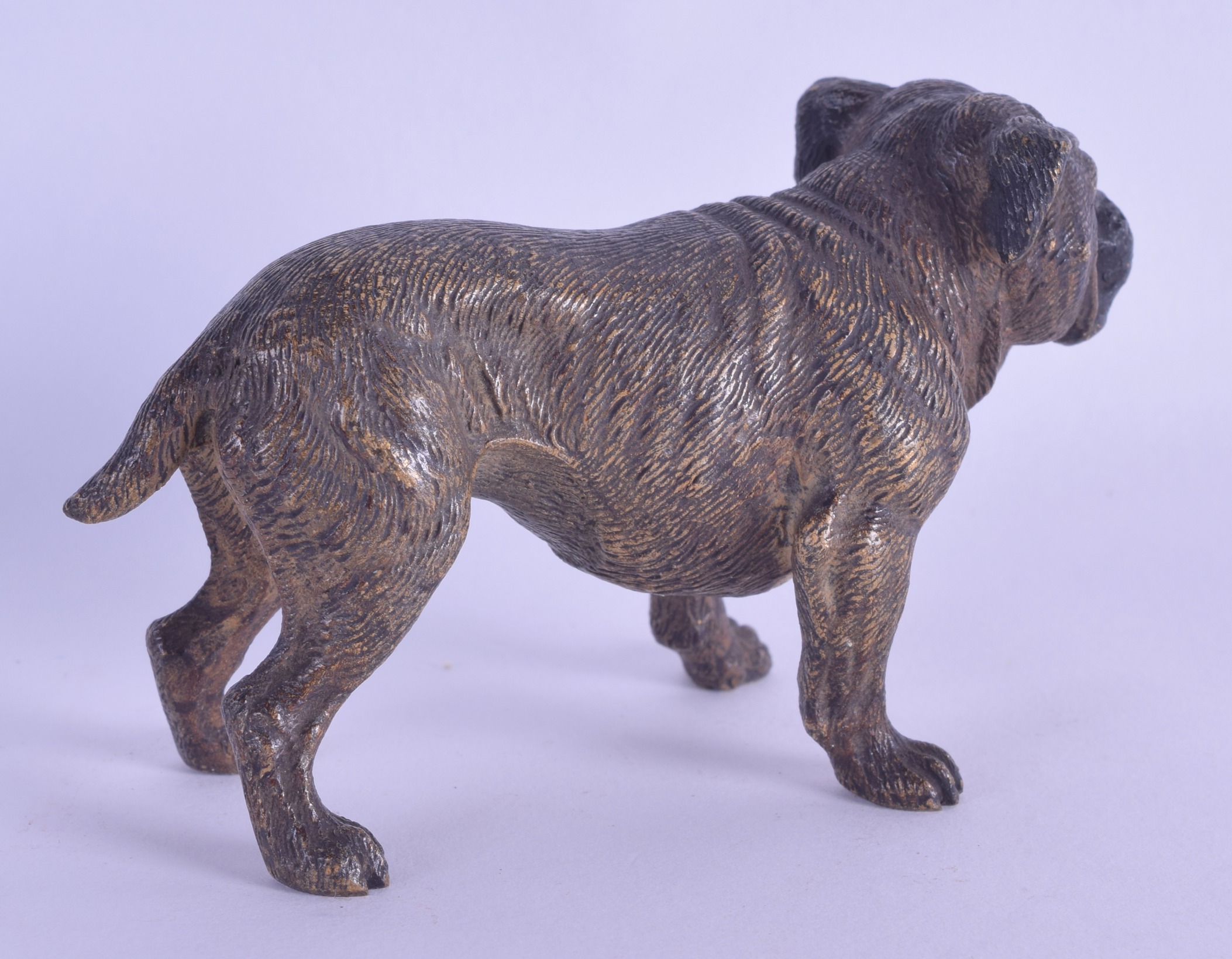 A LATE 19TH CENTURY AUSTRIAN COLD PAINTED BRONZE FIGURE OF A BULL DOG modelled upon all fours. 10 cm - Image 2 of 3